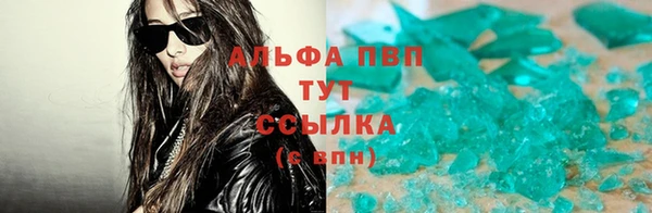 ПСИЛОЦИБИНОВЫЕ ГРИБЫ Верея
