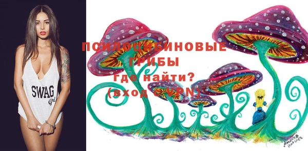 прущая мука Бородино