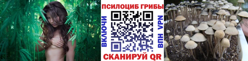 Галлюциногенные грибы Psilocybine cubensis  hydra ссылки  Назарово 